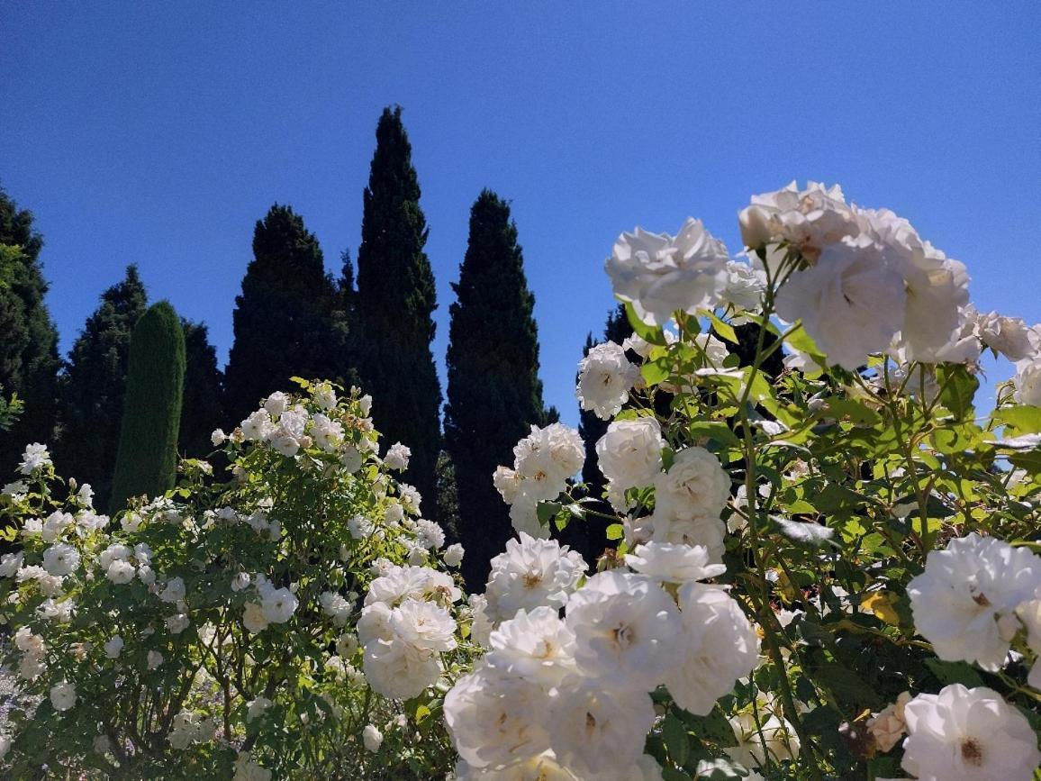 Apartment En Provence, Chez Stephanie Et Marcel *