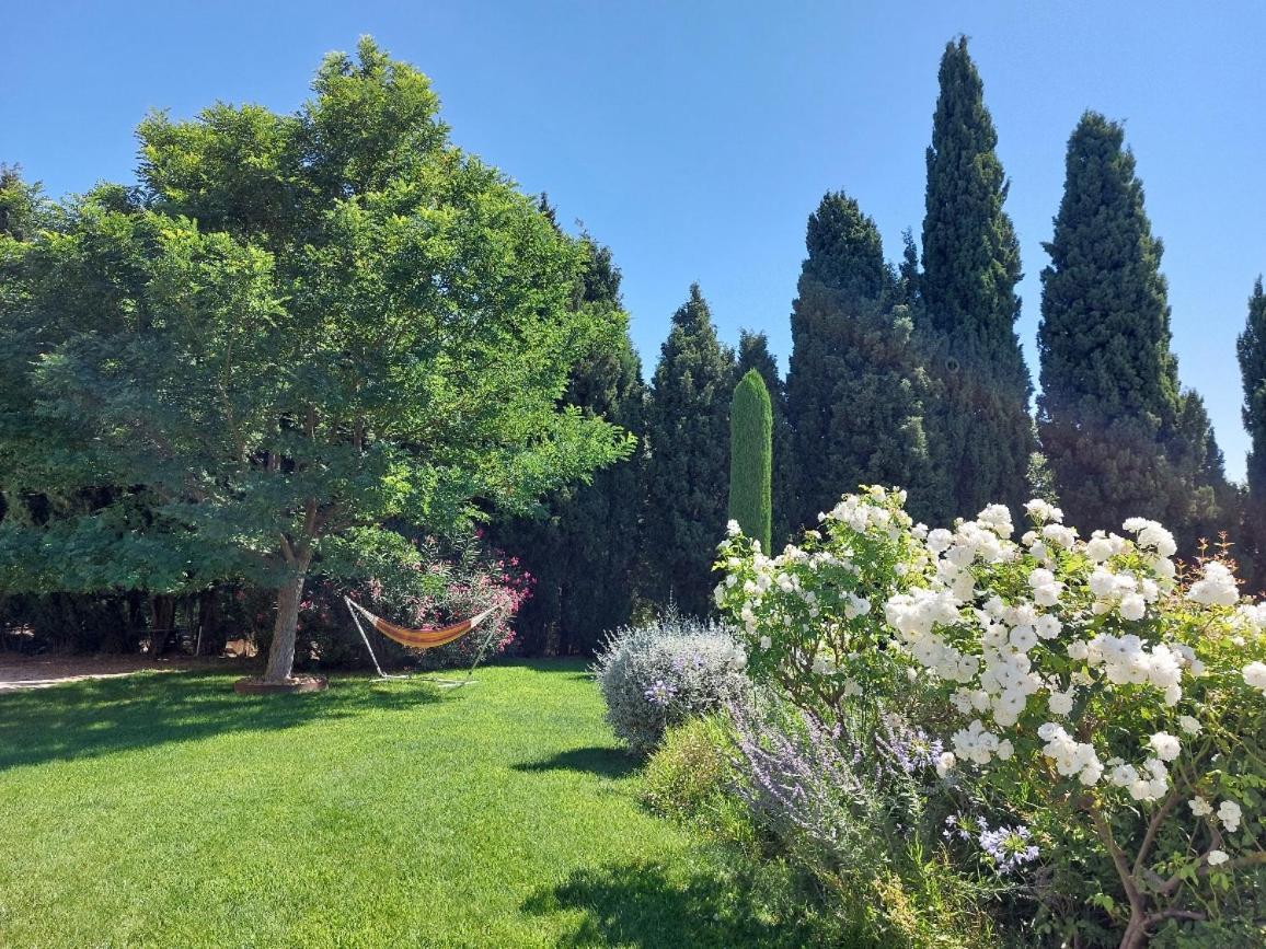 En Provence, Chez Stephanie Et Marcel Saint-Remy-de-Provence